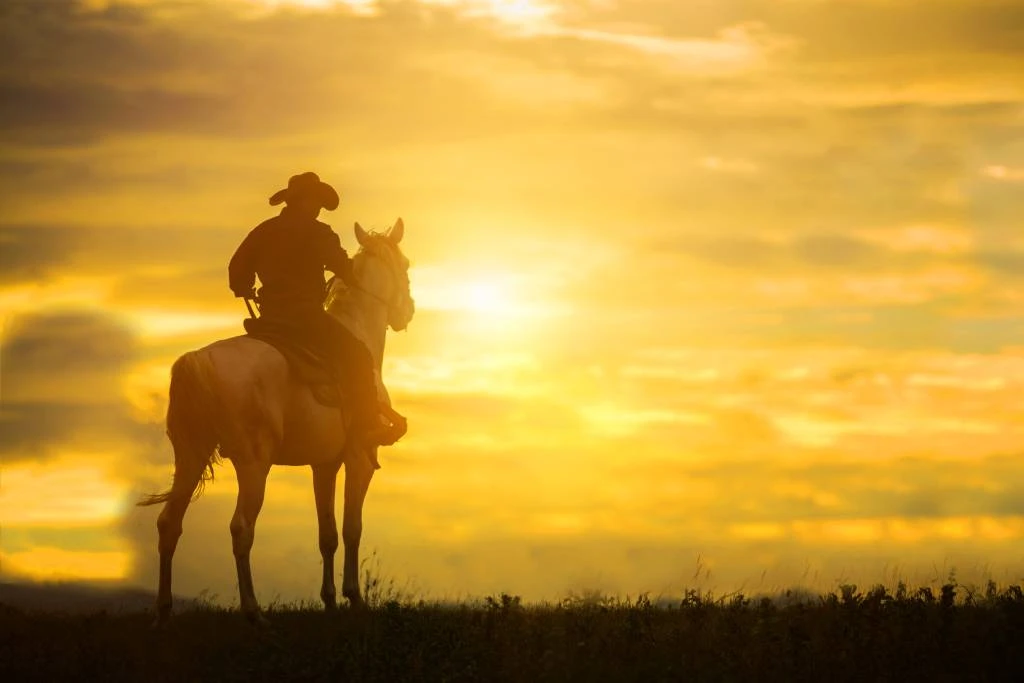 Cowboy Riding a Horse at Sunset - FarmersOnly